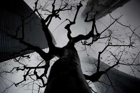 A silhueta de arranha-céus contra um céu nublado e negro, consequência do smog que cobre a cidade de Xangai, na China.  A silhueta de arranha-céus contra um céu nublado e negro, consequência do smog que cobre a cidade de Xangai, na China.