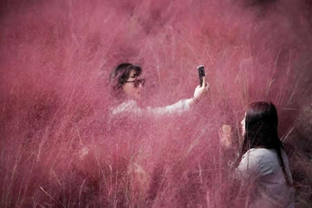 Uma mulher tira uma selfie, enquanto a sua amiga ajusta a maquilhagem, num campo onde impera a cor rosa em Hanam, Coreia do Sul.