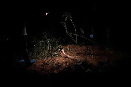 Equipa forense verifica o corpo de um homem morto por uma facção criminosa num cemitério clandestino durante uma operação policial em São Paulo, Brasil
